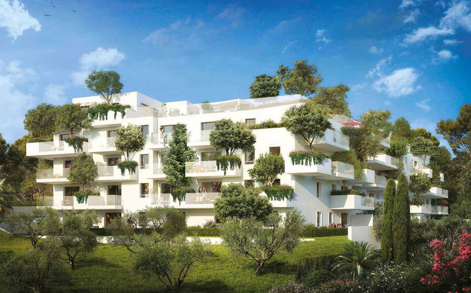 Image_, Appartement, Montpellier, ref :4252